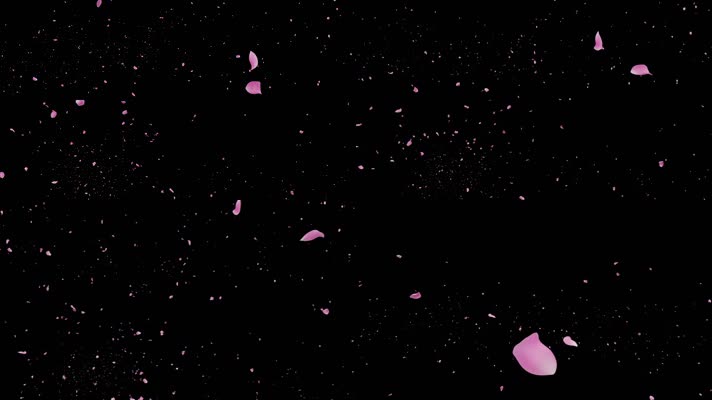 4K粉色花瓣停留汇聚通道5款（推荐）