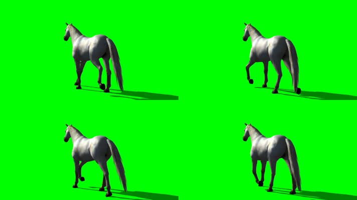 绿屏骏马抠像素材