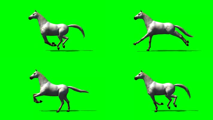 绿屏骏马抠像素材