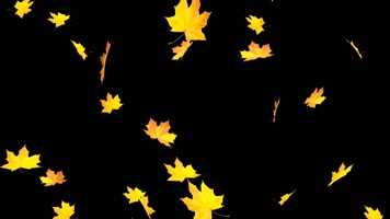 6款枫叶飘落循环通道