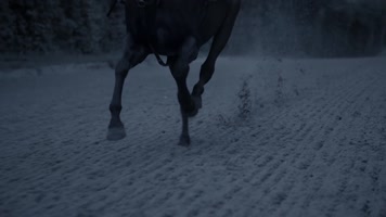 高贵赛马骏马奔跑特写手表广告