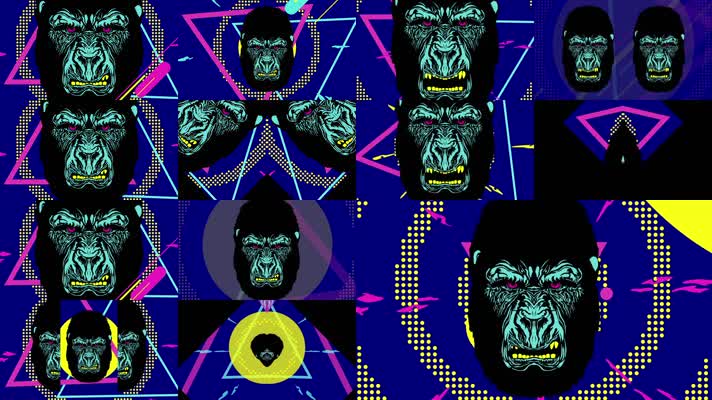 5组黑猩猩百大摇滚夜店vj