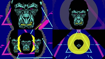 5组黑猩猩百大摇滚夜店vj