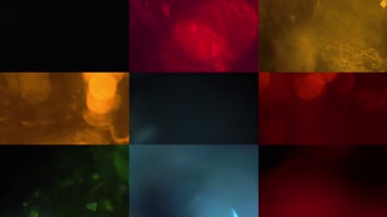 4K光线补光合集30款