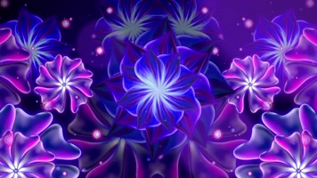 5组原版超赞荧光花朵合集