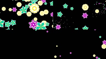 11组绚丽花朵转场带通道