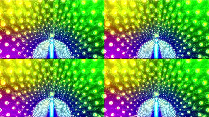 孔雀开屏 羽毛 五彩闪光