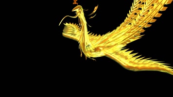 金色凤凰飞（带通道）