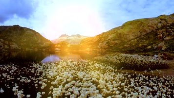 花丛远山湖泊阳光镜头推进