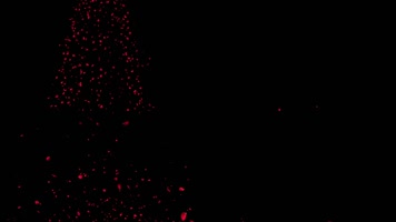 5组玫瑰花抛洒汇聚通道 5组玫瑰花抛洒汇聚通道