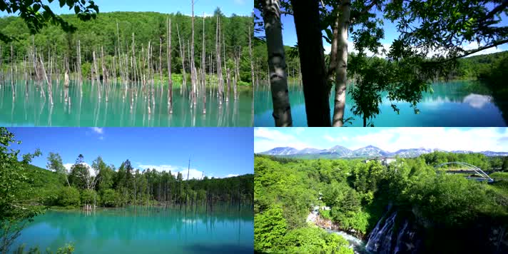 4K日本北海道的绿池白色瀑布