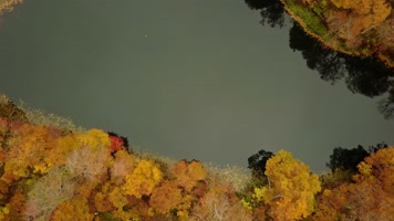 4K梦幻秋天山景森林湖水实拍 4K梦幻秋天山景森林湖水实拍
