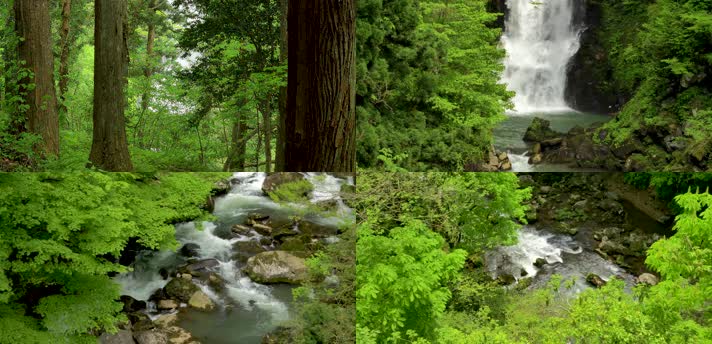 4K绿色森林瀑布溪流木吊桥