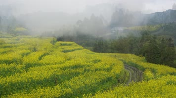 4K石板溪蒸汽铁路火车 4K石板溪蒸汽铁路火车