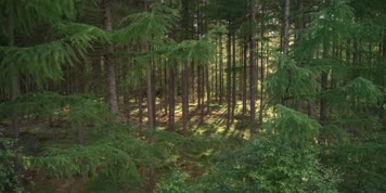 4K瑞典赫尔辛堡人文风光宣传片