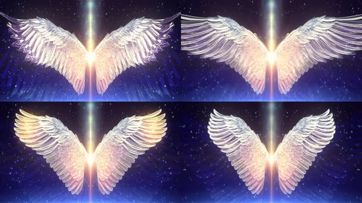 翅膀光效