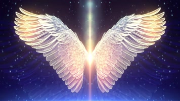 翅膀光效