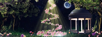 新娘出场背景花瓣