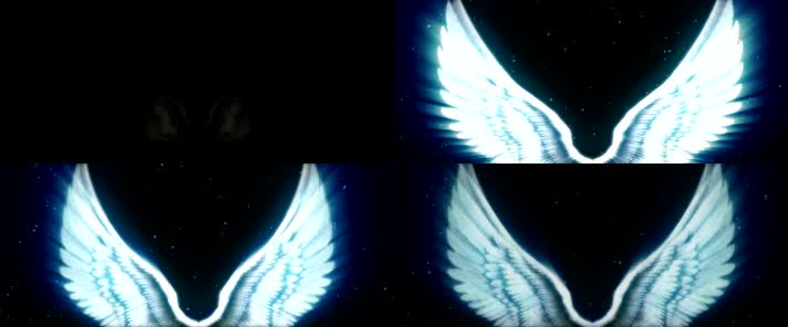 天使翅膀 
