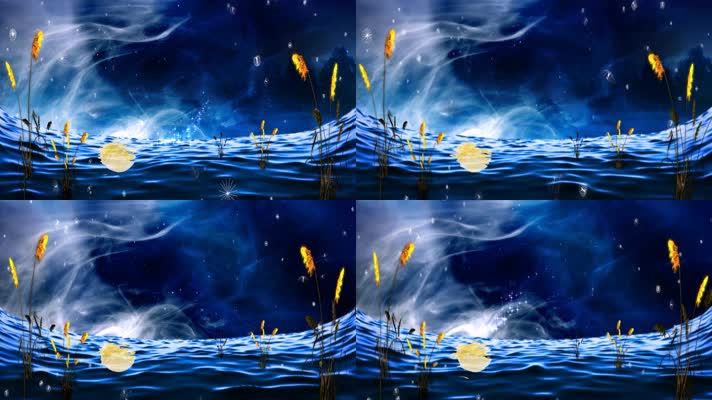  梦幻意境月亮海面芦苇粒子星空