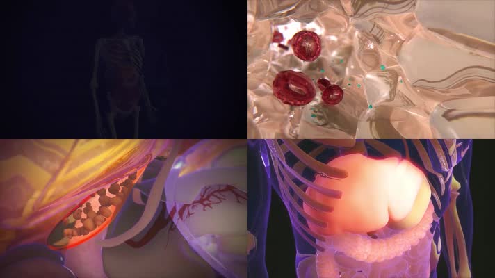 三维人体生物学肝脏和胆囊动画视频