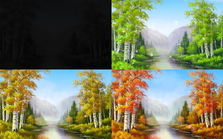 四季即景白桦林一年四季变化