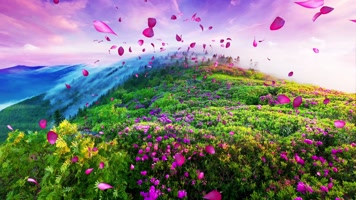 春天漫山花朵飘飞婚礼晚会演艺背景