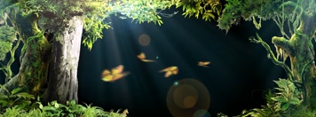 3D森林幻影全息