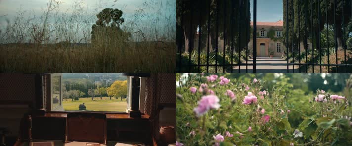 五月玫瑰庄园景观壁画植物精华化妆品香水