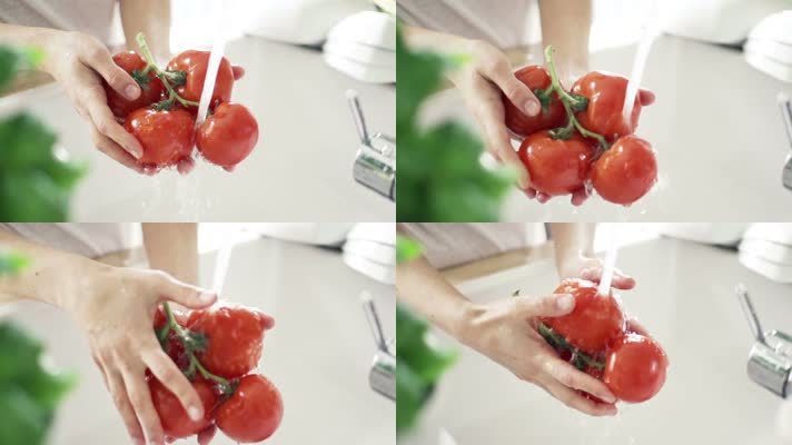 洗西红柿实拍