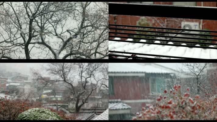 下雪天飘漂飘洒洒雪落树枝屋顶积雪