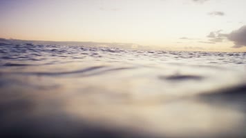  意境大海潜水冲浪旅游度假通用素材