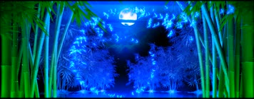 月光 蝴蝶 星空 竹林