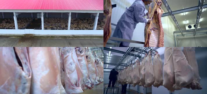 养殖屠宰质检肉食加工运输产业链