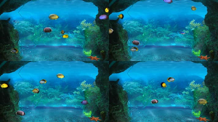  梦幻3D水族馆生态水缸热带鱼群