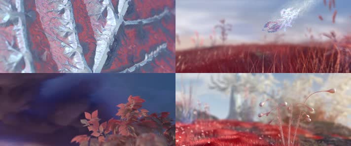 发芽长成大树历程励志人生宣传片 