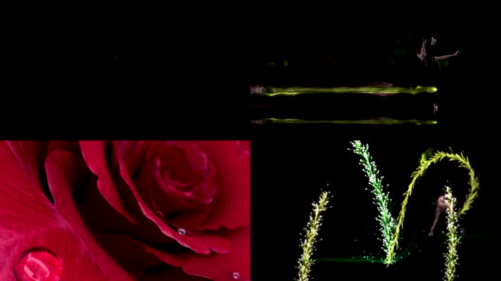 全息时尚光影舞蹈玫瑰绽放艺术投影