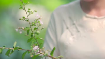 园林景色优雅弹古筝细心修剪花朵插花书写画休闲高清视频