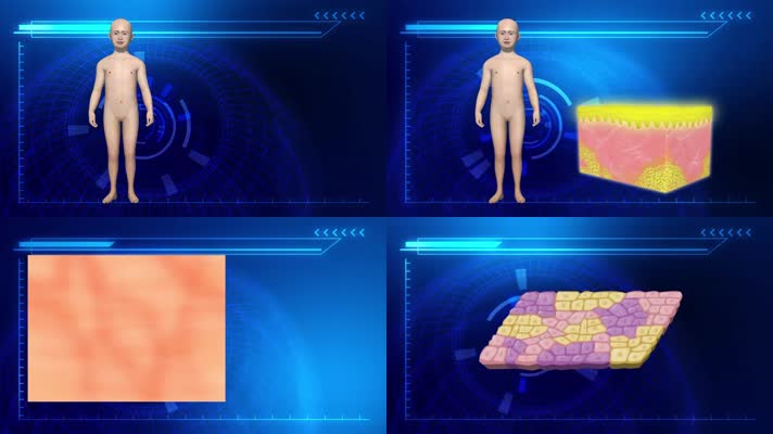 3D皮肤基因疗法医疗视频