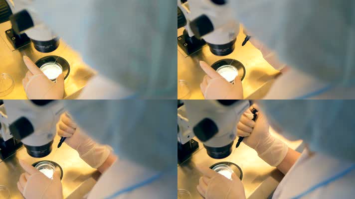 超清实拍医生在显微镜下工作