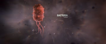 大气黑科技空气净化清新器