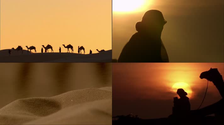 夕阳下沙漠骆驼驼队行走丝绸之路