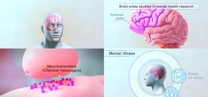 3D大脑健康工作医疗视频
