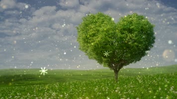 纪晓斌 - 朋友陪你醉歌曲配乐