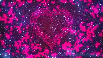 小虎队 - 蝴蝶飞呀歌曲配乐