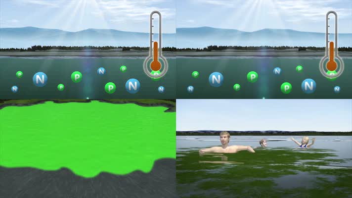 3D太湖蓝藻水华危害健康医疗视频