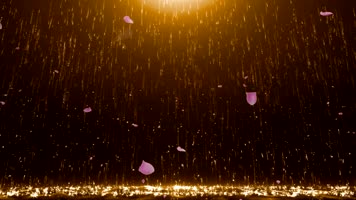 张国荣 - 当爱已成往事歌曲背景