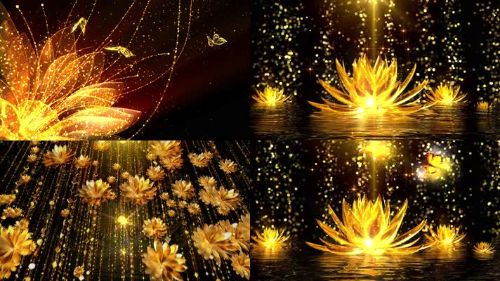 荷塘莲语4K歌曲配乐