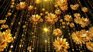 荷塘莲语4K歌曲配乐