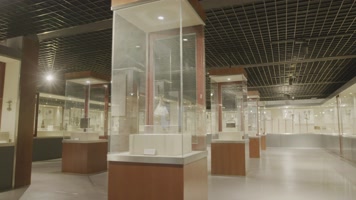 博物馆4K
